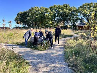 UV i sansehaven